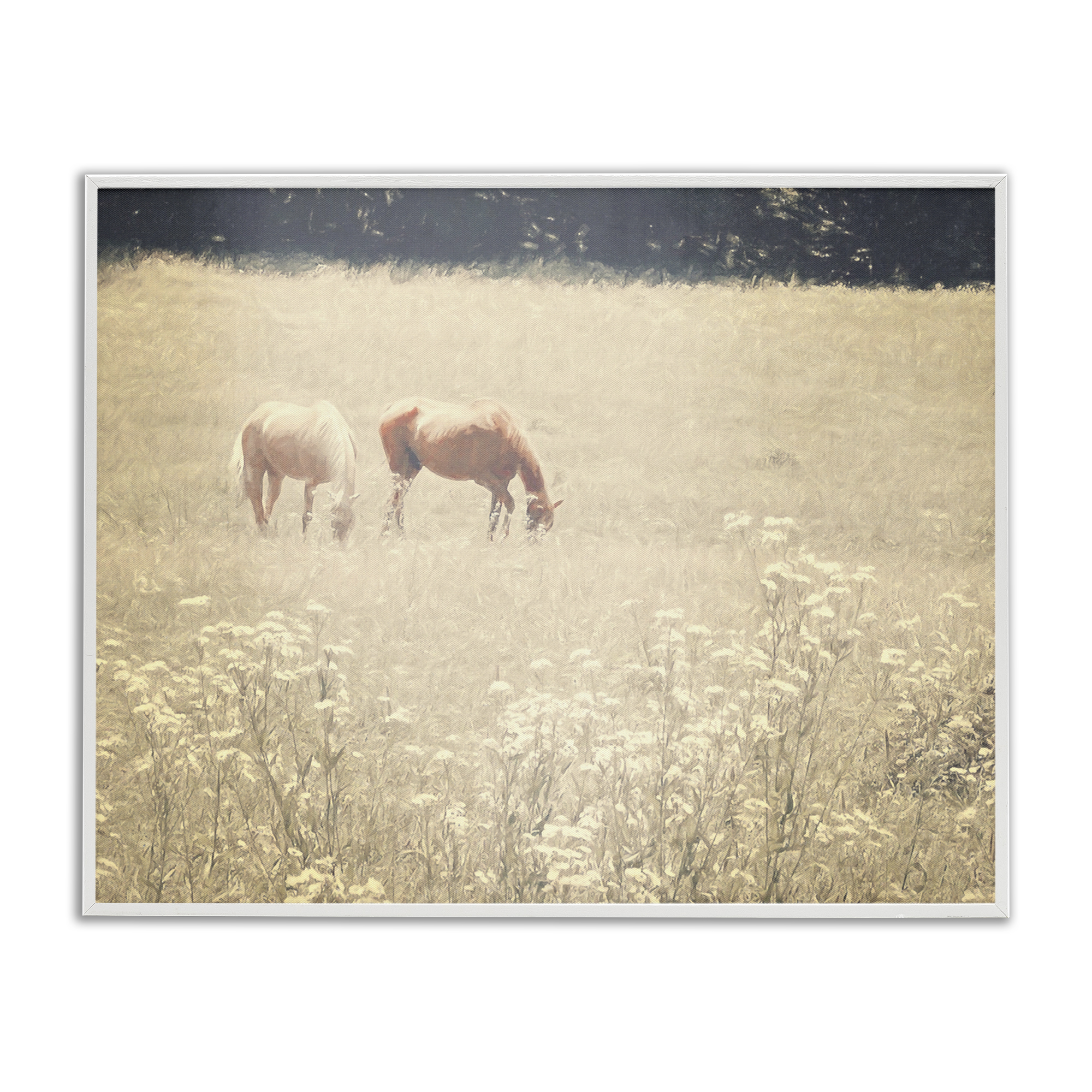 Stupell Industries Pair of Horses Grazing Landscape & Nature Photography White Framed Art Print Wall Art, 30 x 24