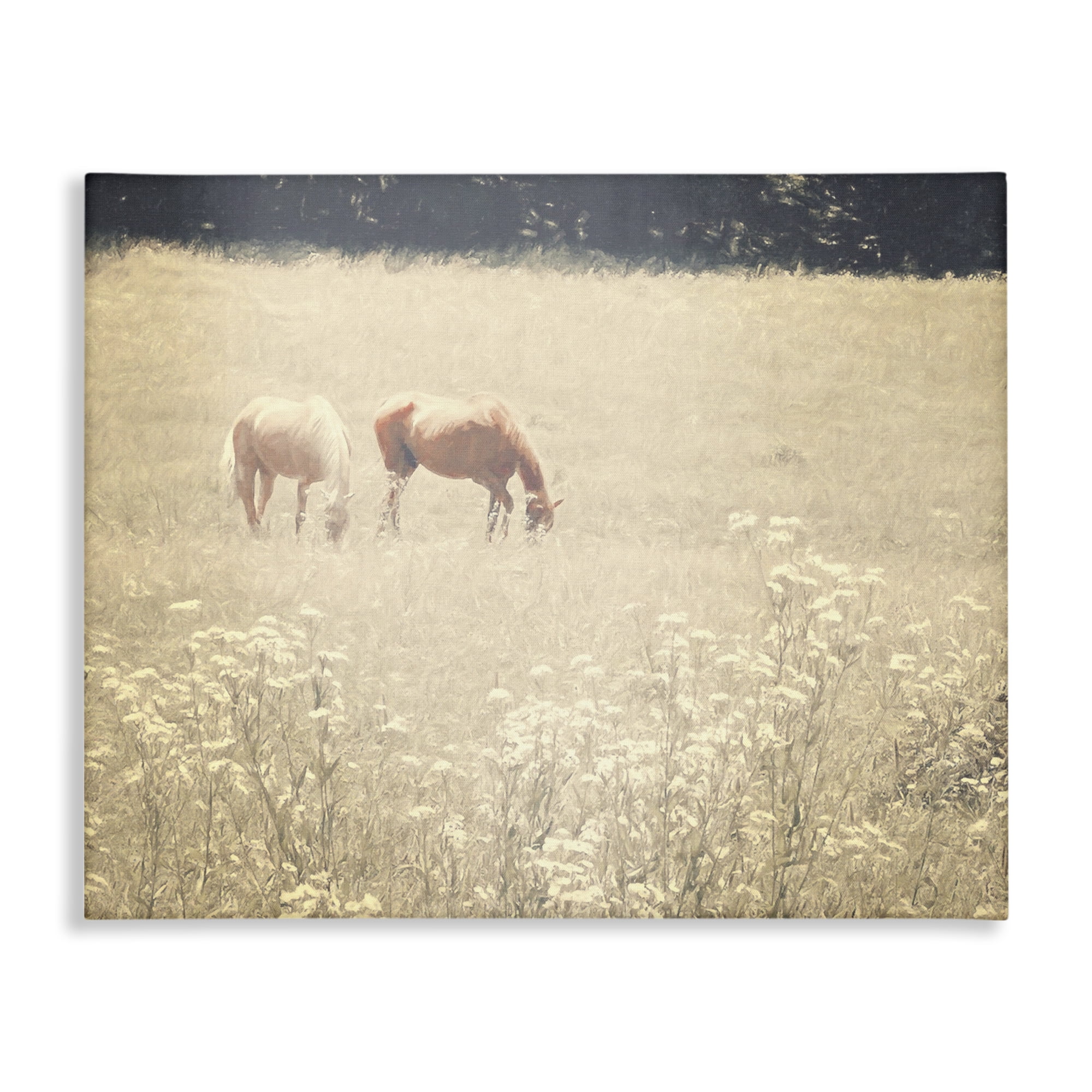 Stupell Industries Pair of Horses Grazing Landscape & Nature Photography Wrapped Canvas Art Print Wall Art, 30 x 24