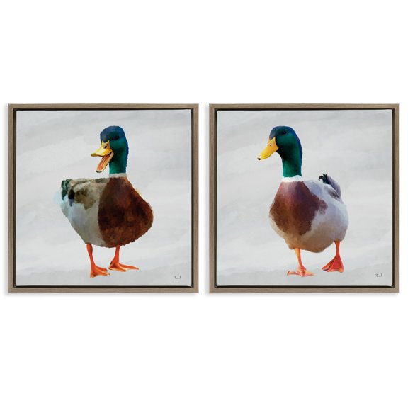 Stupell Industries Pair of Squawking Ducks 2 Piece Brown Framed Floater Canvas Set design by Renel Peters, 18 x 18