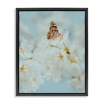 Stupell Industries Pale Blossoms & Butterfly Animals & Insects Photography Black Floater Framed Art Print Wall Art, 17 x 21