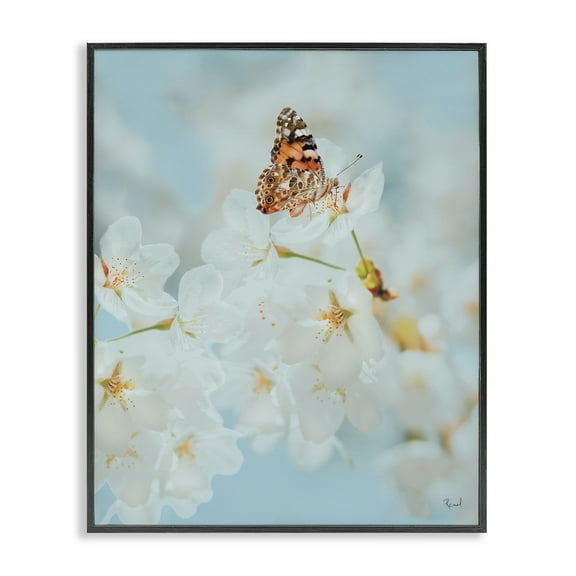 Stupell Industries Pale Blossoms & Butterfly Animals & Insects Photography Black Framed Art Print Wall Art, 11 x 14