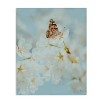 Stupell Industries Pale Blossoms & Butterfly Animals & Insects Photography Gallery Wrapped Canvas Art Print Wall Art, 16 x 20