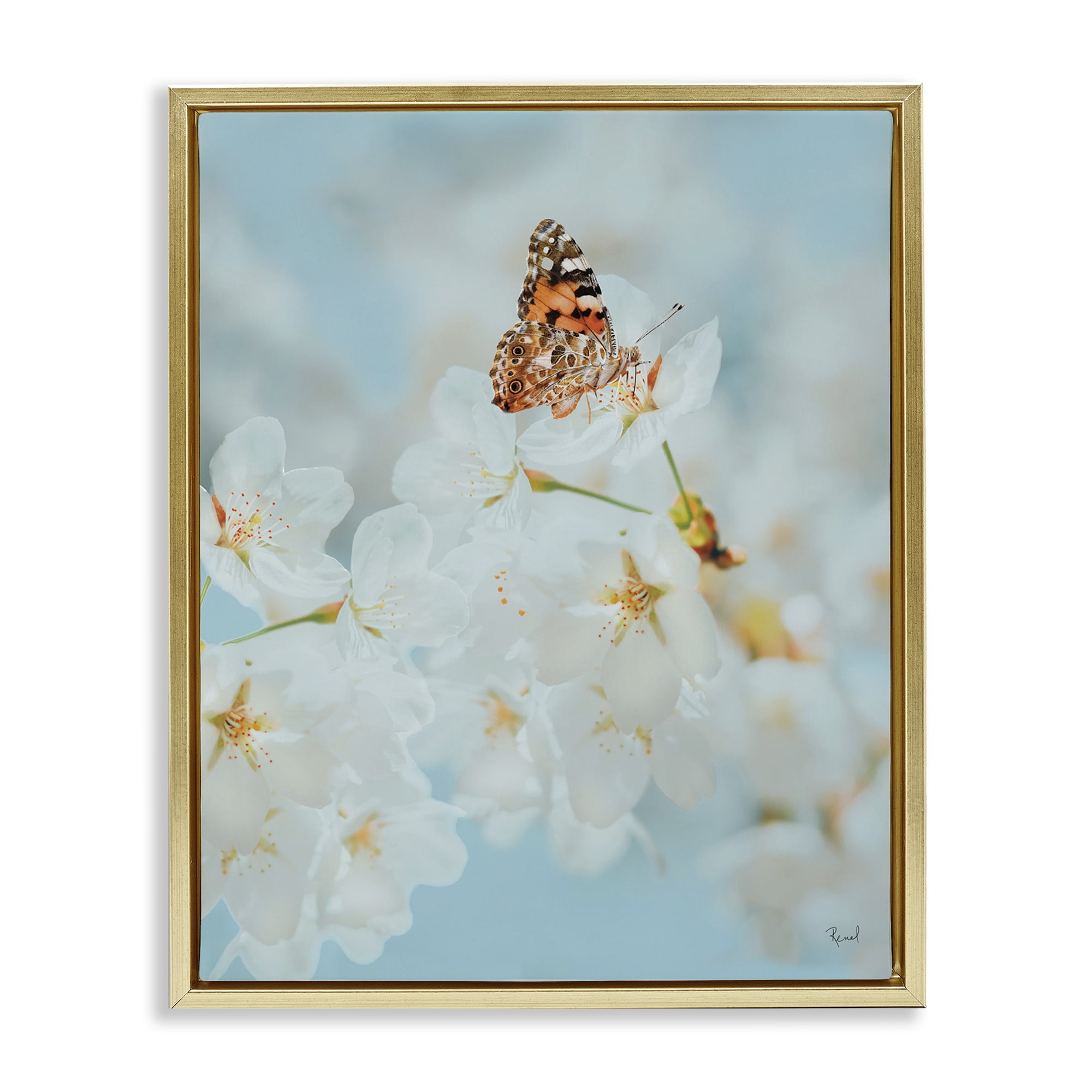Stupell Industries Pale Blossoms & Butterfly Animals & Insects Photography Gold Floater Framed Art Print Wall Art, 17 x 21
