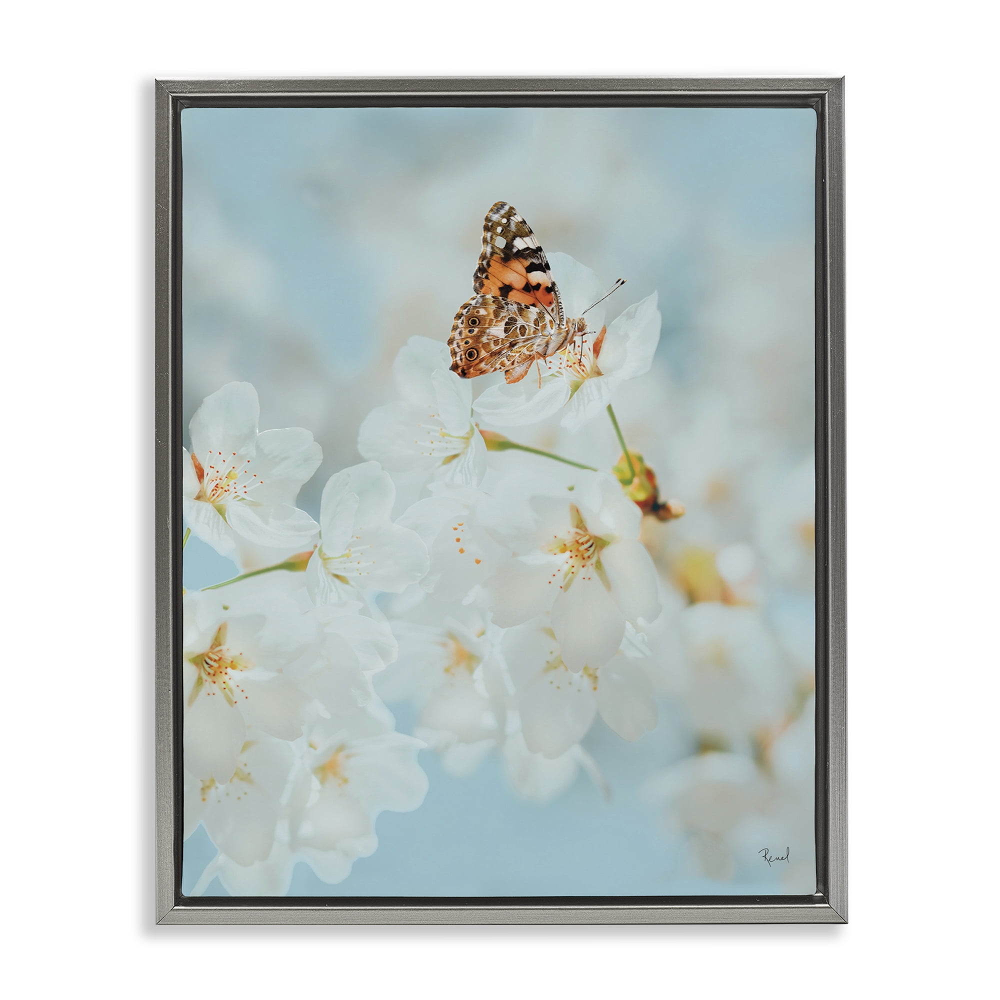Stupell Industries Pale Blossoms & Butterfly Animals & Insects Photography Gray Floater Framed Art Print Wall Art, 25 x 31