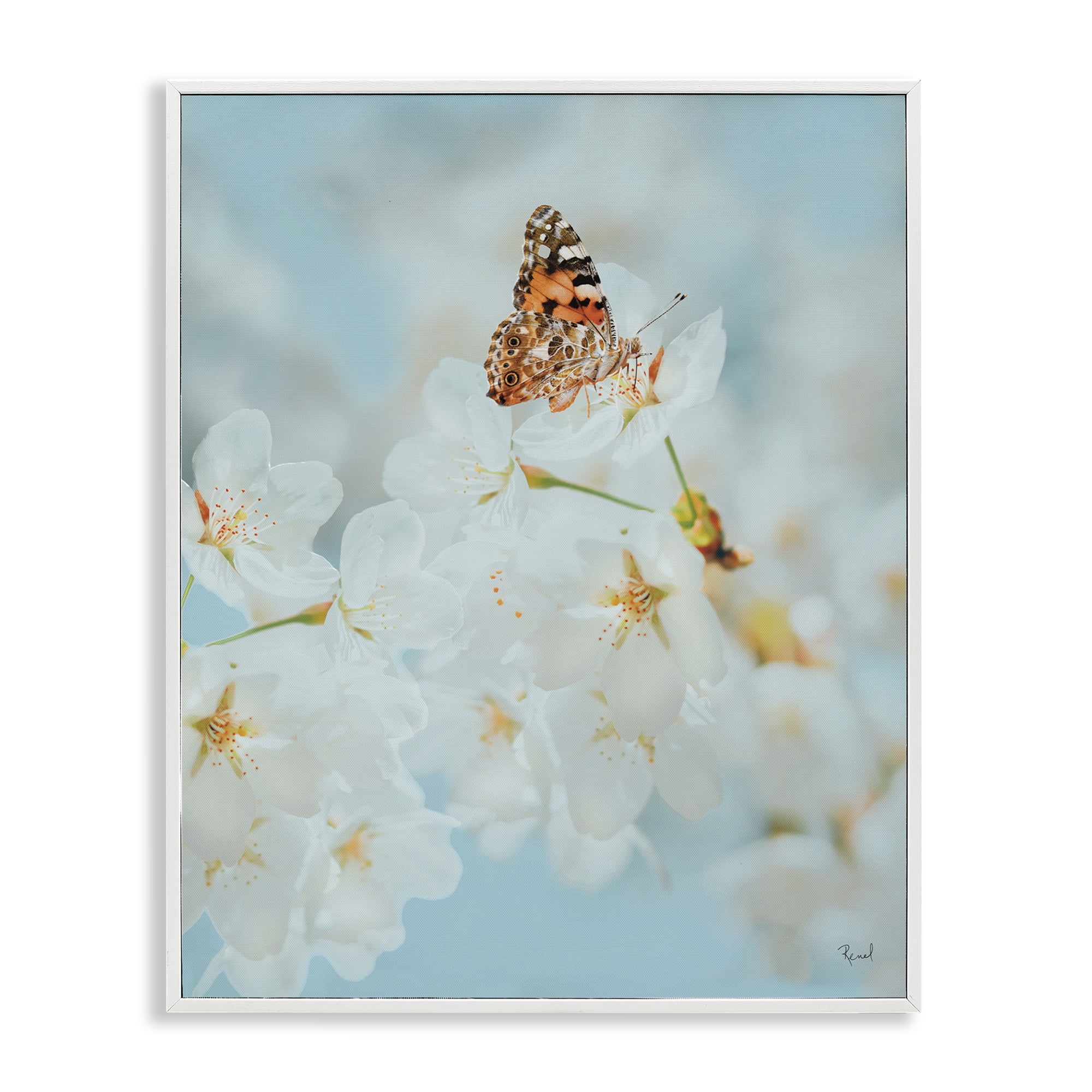 Stupell Industries Pale Blossoms & Butterfly Animals & Insects Photography White Framed Art Print Wall Art, 16 x 20