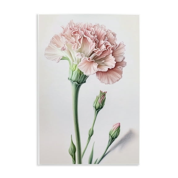 Stupell Industries Pale Carnation Budding Plants & Flowers Painting Unframed Art Print Wall Art, 10 x 15