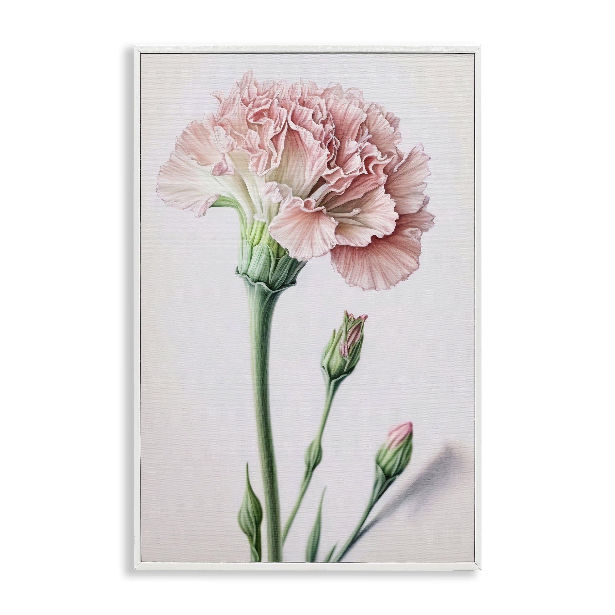 Stupell Industries Pale Carnation Budding Plants & Flowers Painting White Framed Art Print Wall Art, 20 x 30