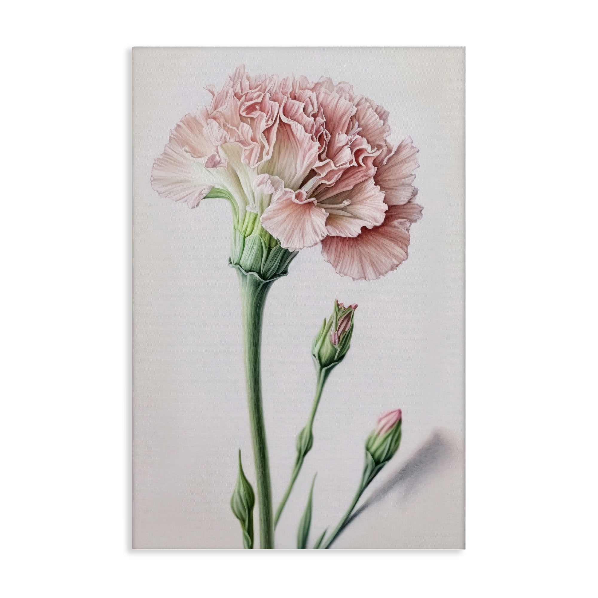 Stupell Industries Pale Carnation Budding Plants & Flowers Painting Wrapped Canvas Art Print Wall Art, 24 x 36