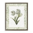 thumbnail image 1 of Stupell Industries Coastal Pale Green Tulip Trio Brown Floating Frame Canvas Art, 17 x 21, by Nan, 1 of 8