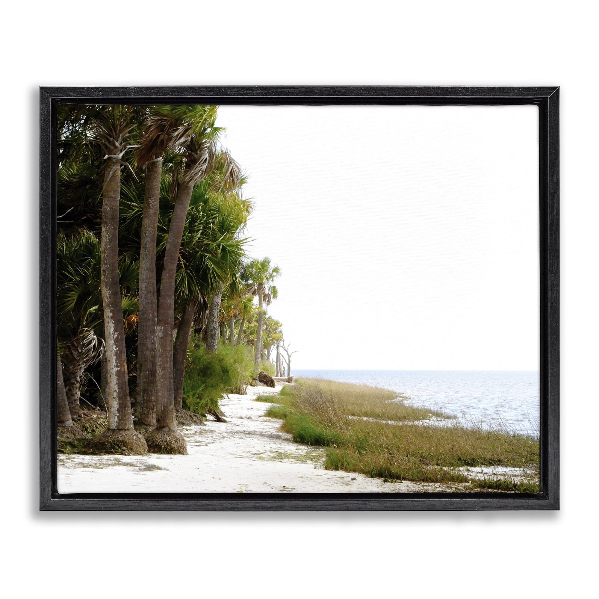 Stupell Industries Palm Beach Path Landscape Photography Black Floater Framed Canvas Art Print Wall Art, 31 x 25