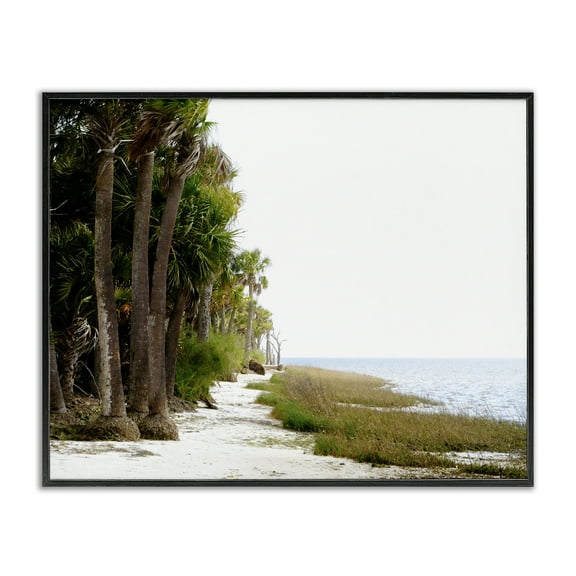Stupell Industries Palm Beach Path Landscape Photography Black Framed Art Print Wall Art, 14 x 11