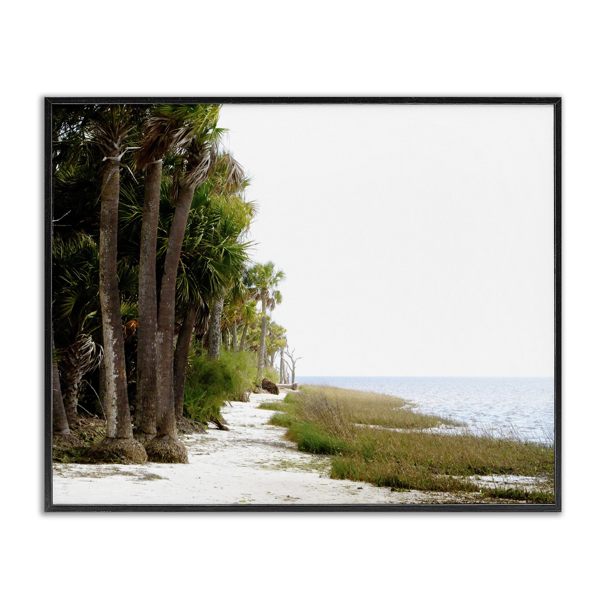 Stupell Industries Palm Beach Path Landscape Photography Black Framed Art Print Wall Art, 30 x 24
