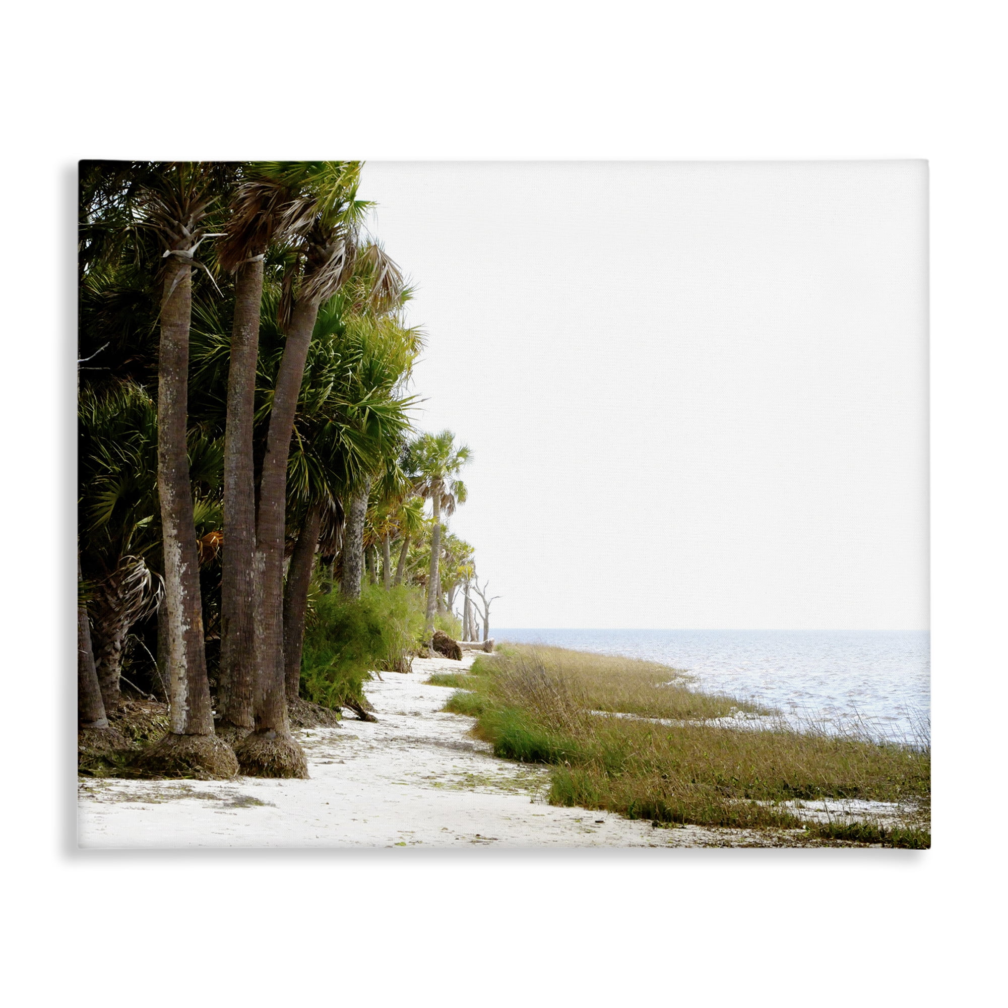 Stupell Industries Palm Beach Path Landscape Photography Gallery Wrapped Canvas Art Print Wall Art, 20 x 16