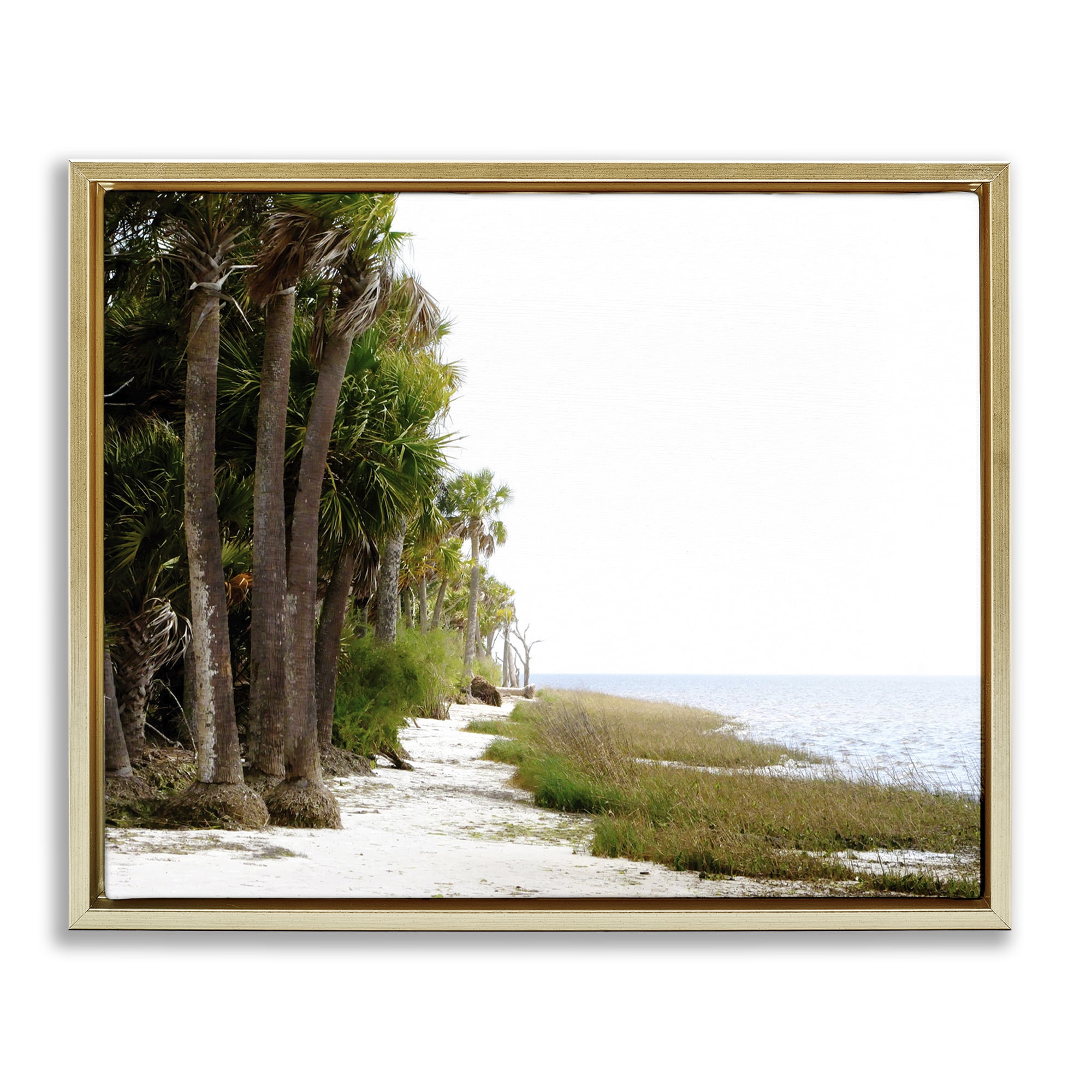 Stupell Industries Palm Beach Path Landscape Photography Gold Floater Framed Canvas Art Print Wall Art, 31 x 25