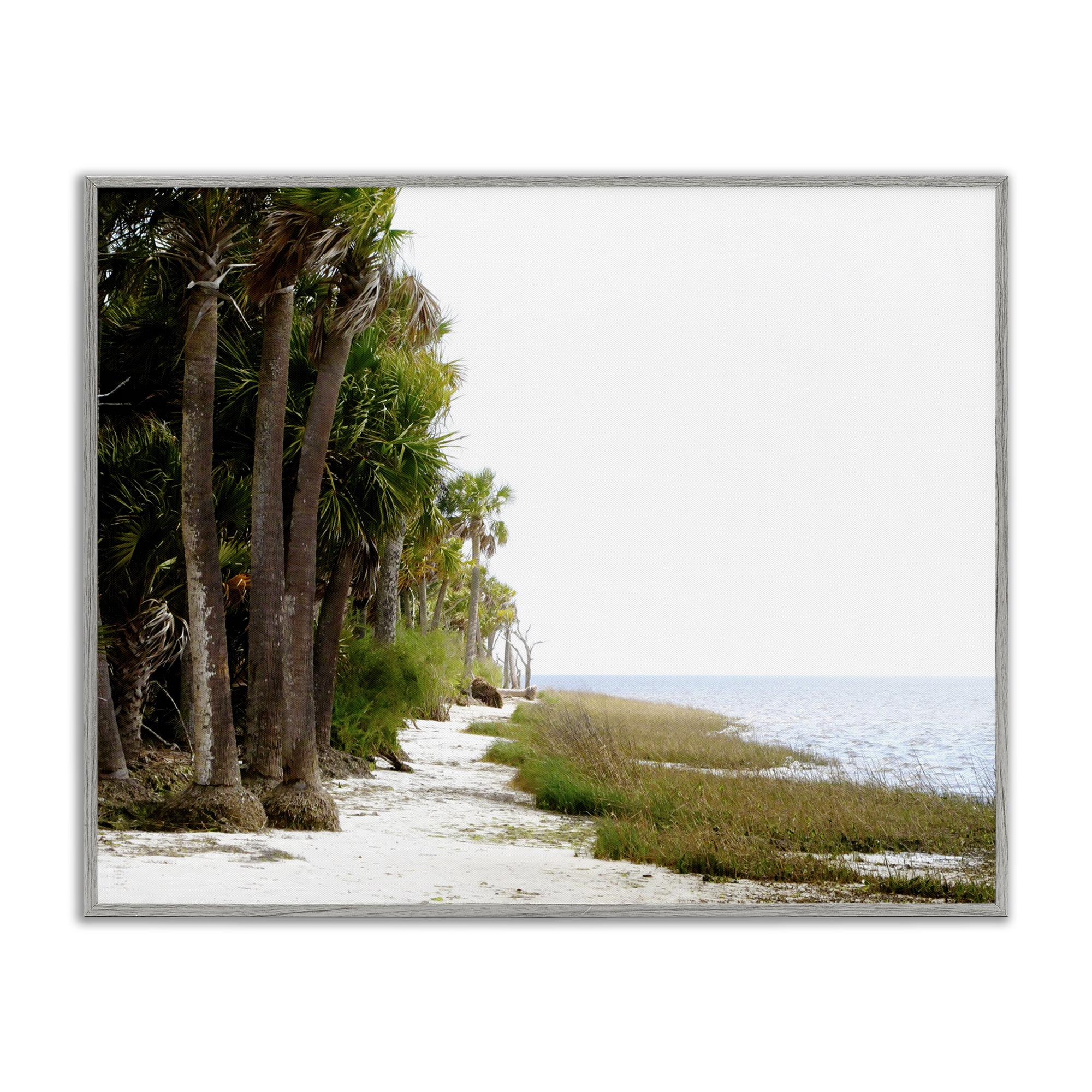 Stupell Industries Palm Beach Path Landscape Photography Gray Framed ...