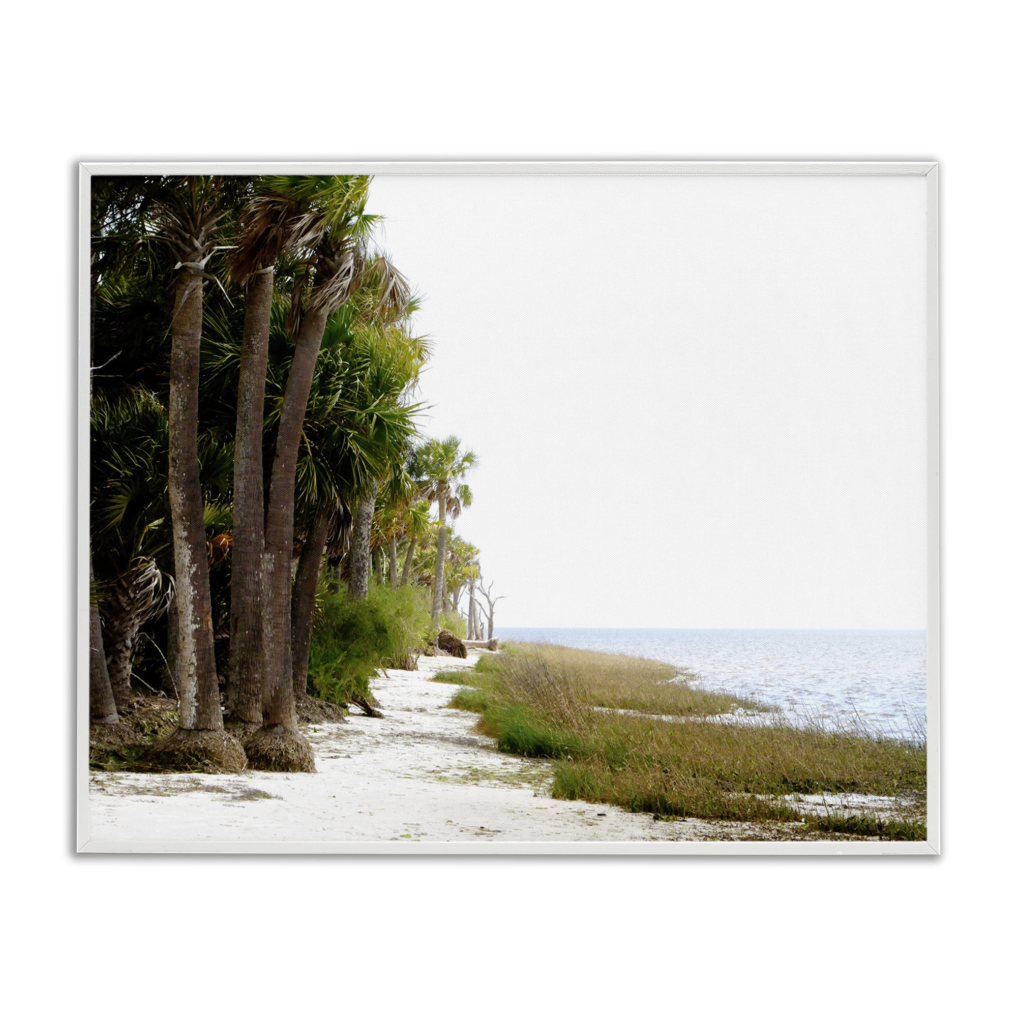 Stupell Industries Palm Beach Path Landscape Photography White Framed Art Print Wall Art, 30 x 24