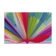 thumbnail image 1 of Stupell Industries Contemporary Palm Fan In Spectrum Canvas Art, 24 x 16, by Chromatic Storm Studio, 1 of 8