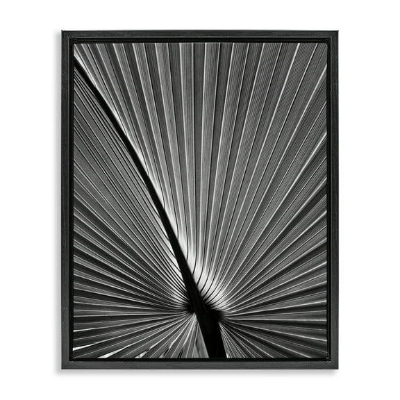 Stupell Industries Palm Frond Detail Botanical & Floral Photography Black Floater Framed Art Print Wall Art, 17 x 21