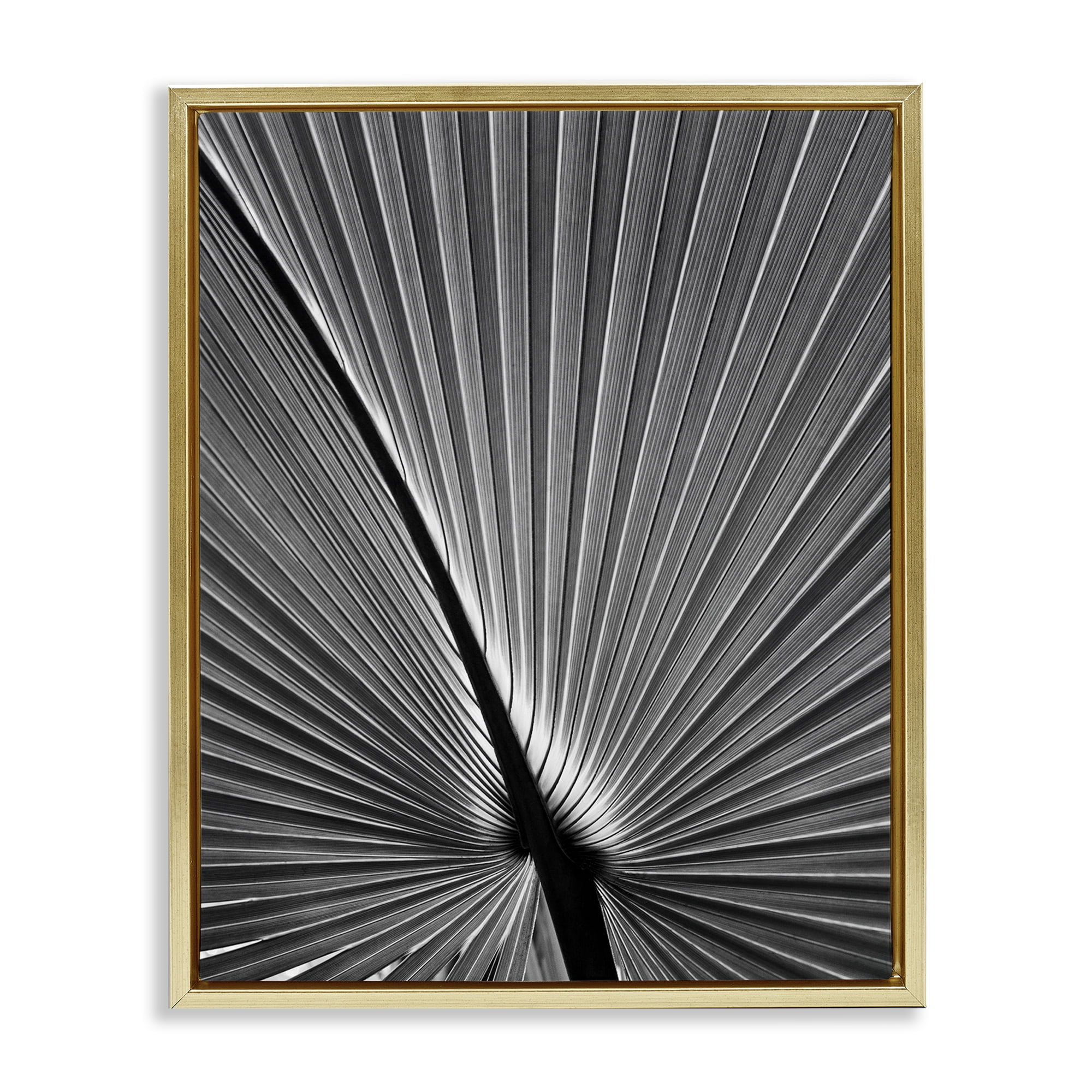 Stupell Industries Palm Frond Detail Botanical & Floral Photography Gold Floater Framed Art Print Wall Art, 17 x 21