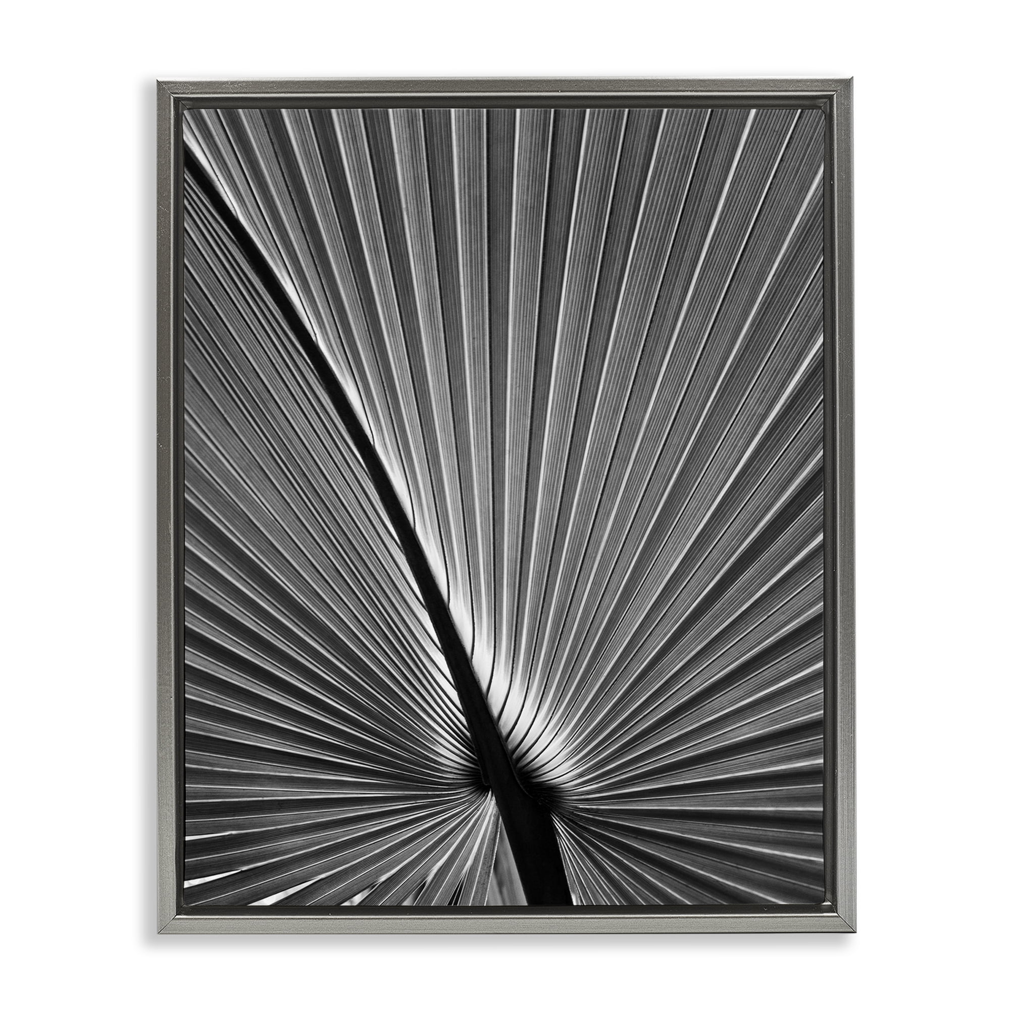 Stupell Industries Palm Frond Detail Botanical & Floral Photography Gray Floater Framed Art Print Wall Art, 25 x 31