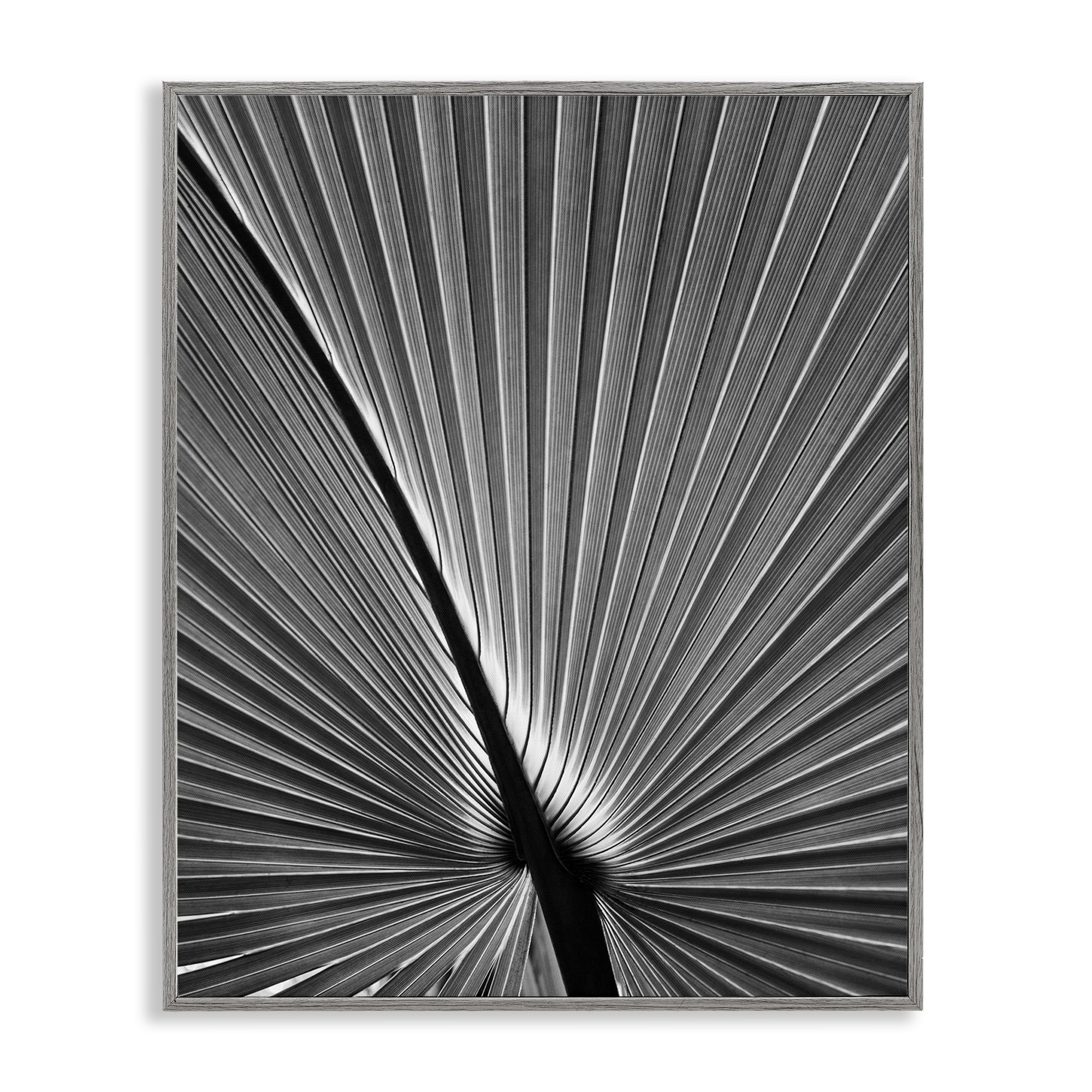 Stupell Industries Palm Frond Detail Botanical & Floral Photography Gray Framed Art Print Wall Art, 16 x 20