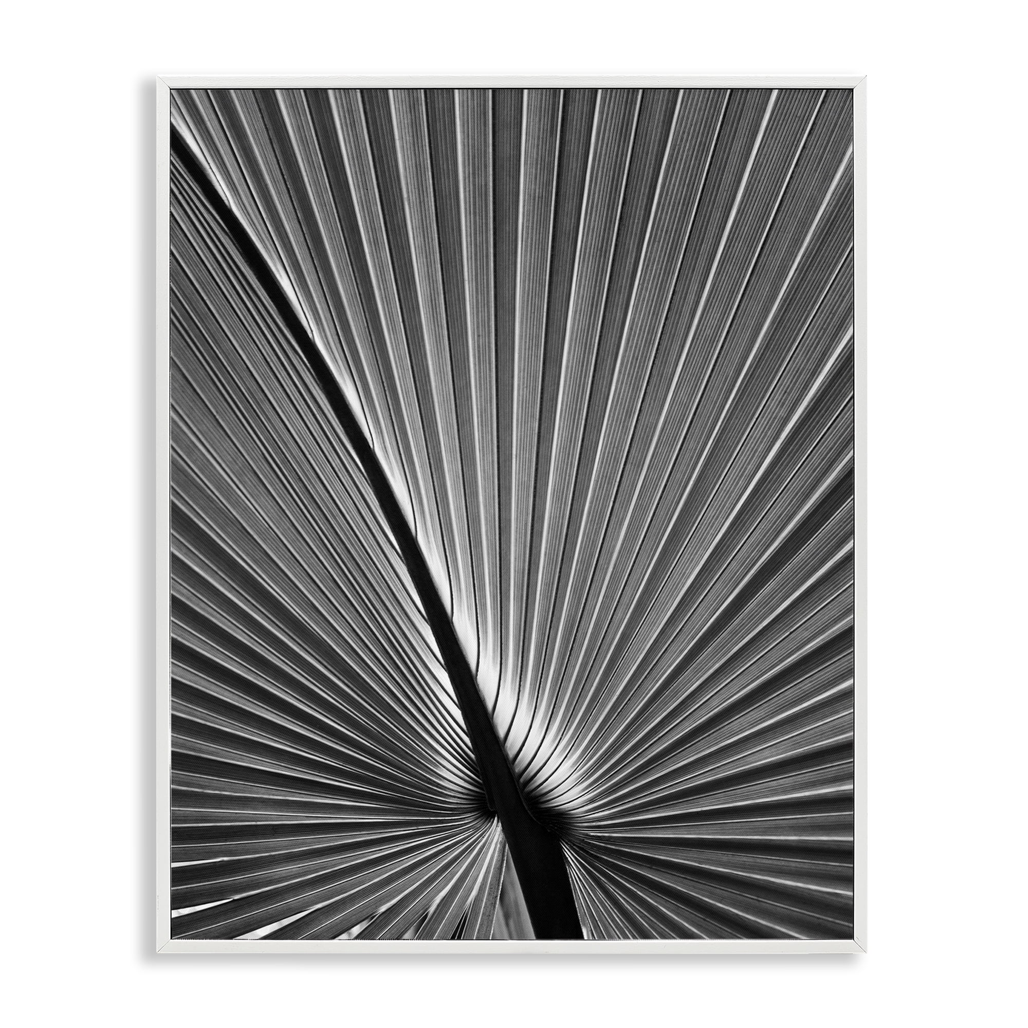 Stupell Industries Palm Frond Detail Botanical & Floral Photography White Framed Art Print Wall Art, 11 x 14