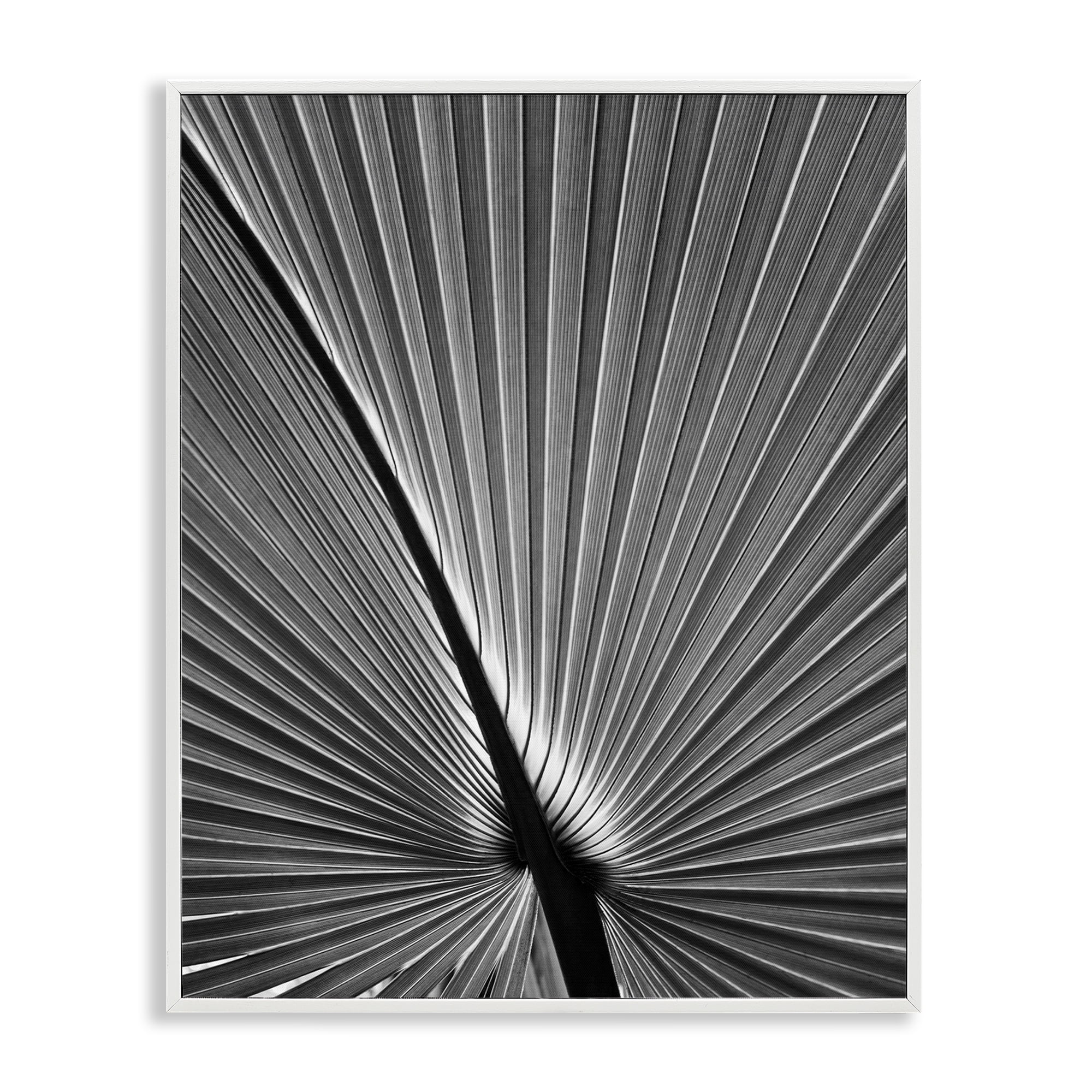 Stupell Industries Palm Frond Detail Botanical & Floral Photography White Framed Art Print Wall Art, 16 x 20
