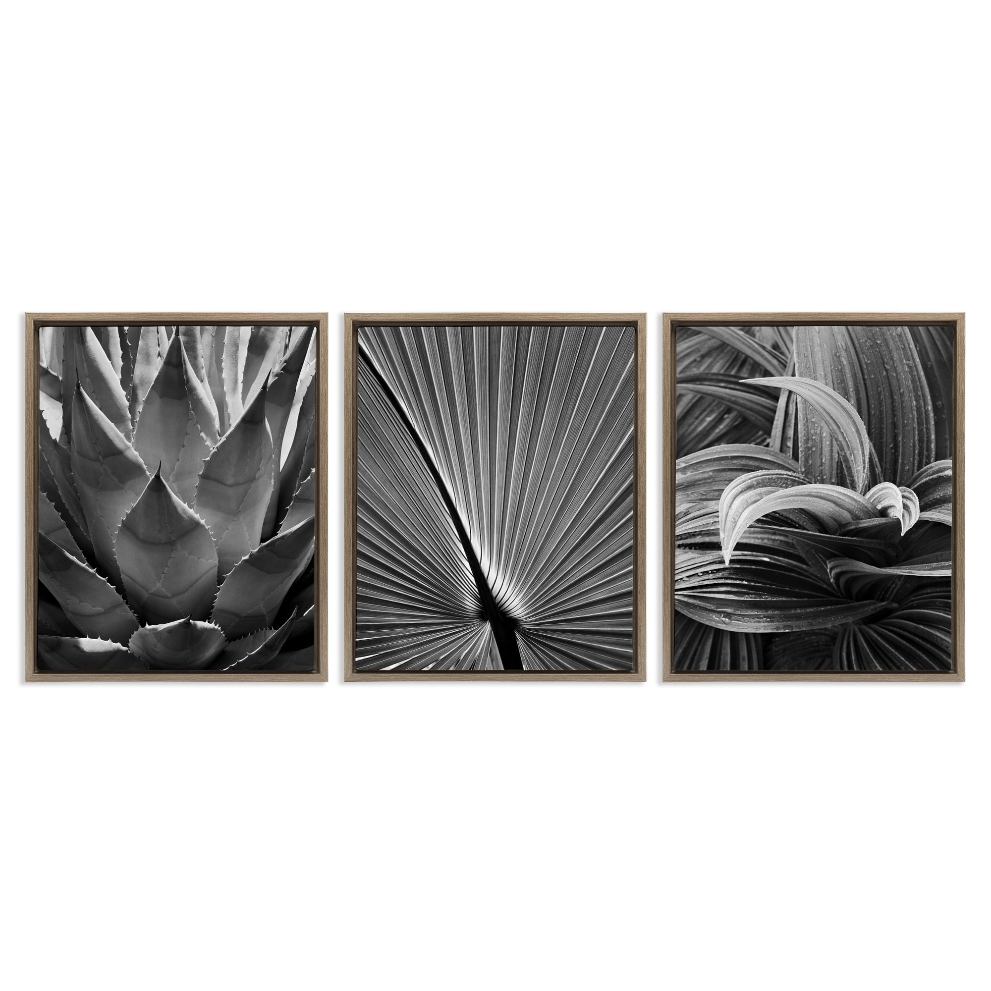 Stupell Industries Palm Frond Details Plants & Flowers Photography Brown Floater Framed Canvas Art Print Wall Art, 25 x 31, Set of 3