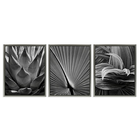 Stupell Industries Palm Frond Details Plants & Flowers Photography Gray Floater Framed Canvas Art Print Wall Art, 17 x 21, Set of 3