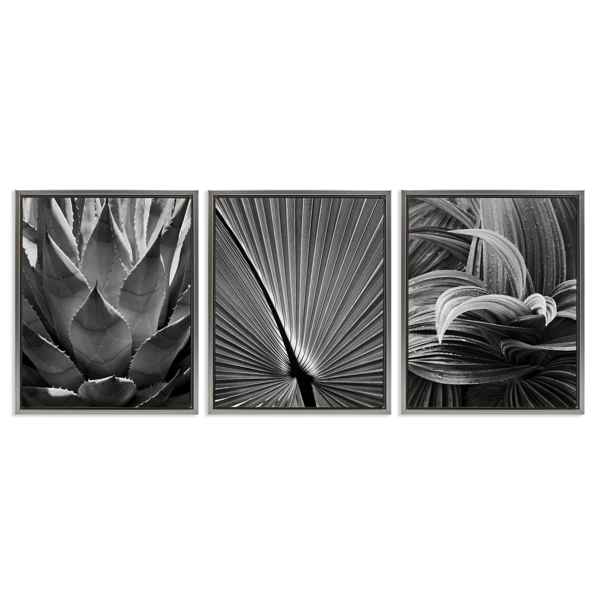 Stupell Industries Palm Frond Details Plants & Flowers Photography Gray Floater Framed Canvas Art Print Wall Art, 25 x 31, Set of 3