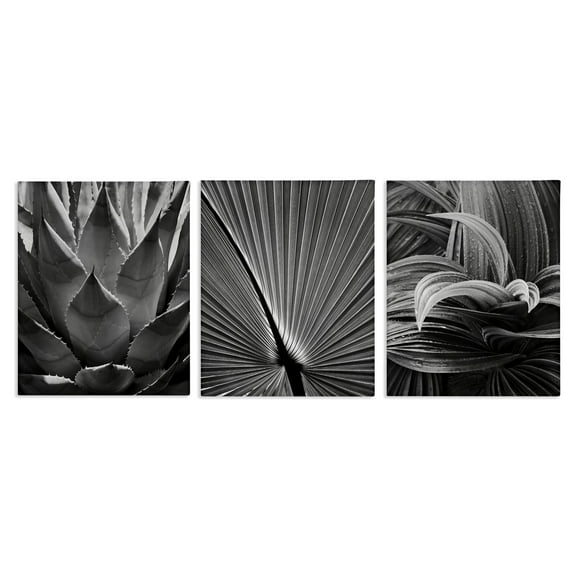 Stupell Industries Palm Frond Details Plants & Flowers Photography Wrapped Canvas Art Print Wall Art, 11 x 14, Set of 3