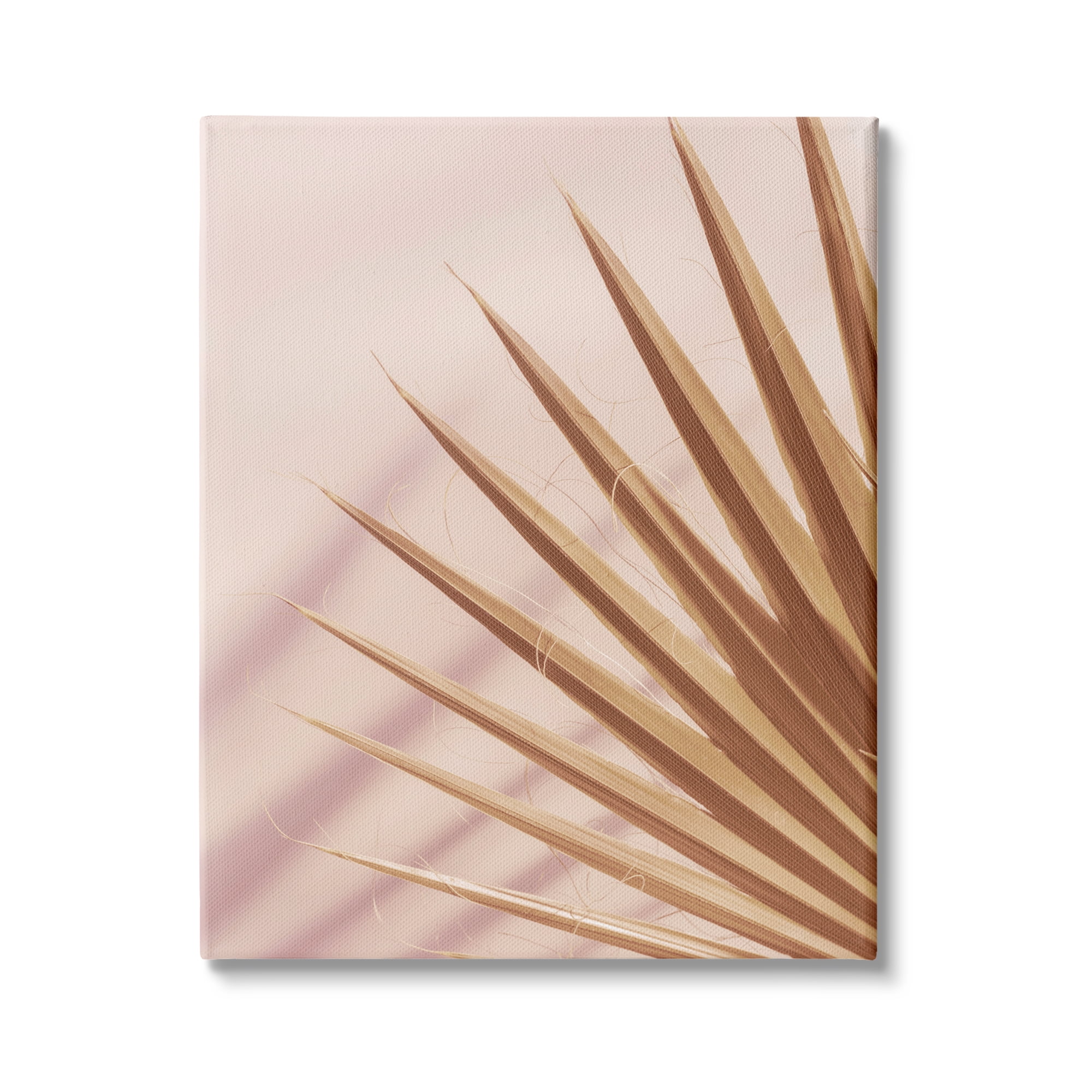 Stupell Industries Palm Frond Photograph Expressive Tropical Plant Sun Bleached, 16 x 20, Design by Ian Winstanley