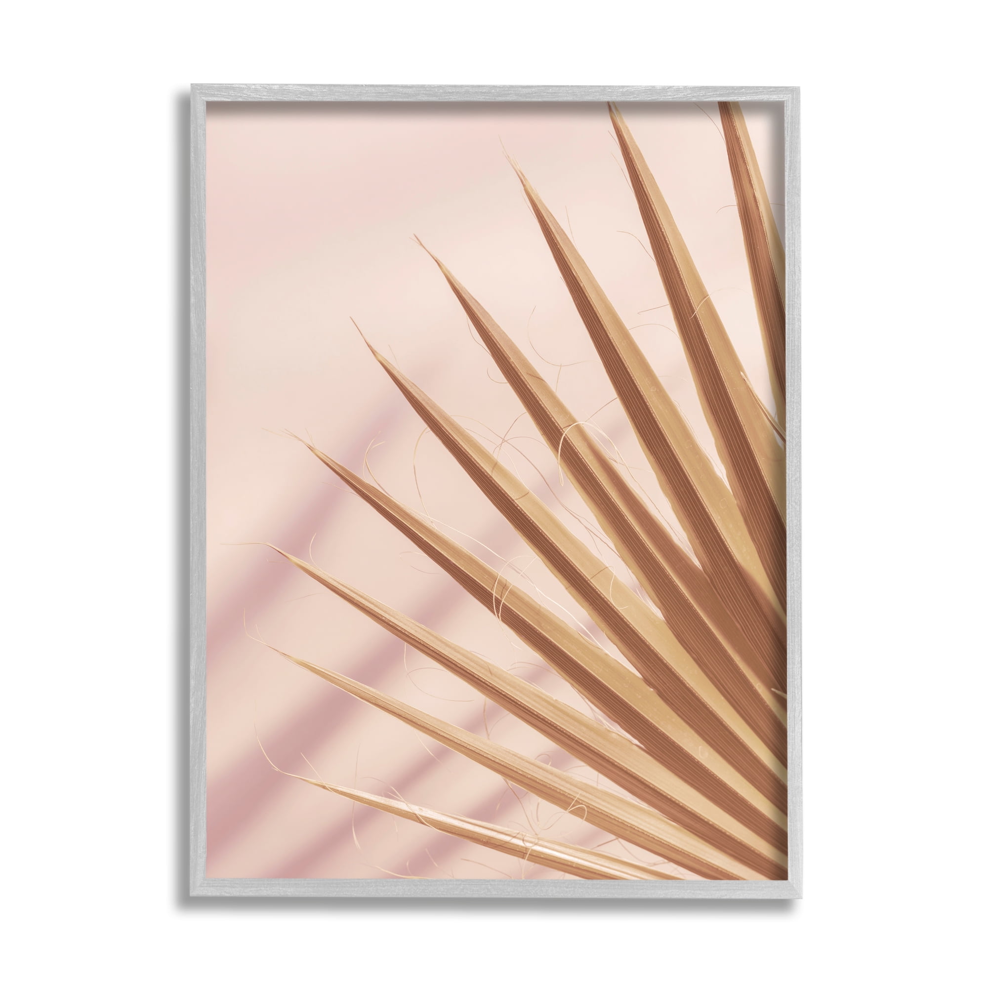 Stupell Industries Palm Frond Photograph Expressive Tropical Plant Sun Bleached, 24 x 30, Design by Ian Winstanley