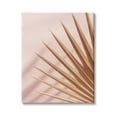 thumbnail image 1 of Stupell Industries Palm Frond Photograph Expressive Tropical Plant Sun Bleached, 24 x 30, Design by Ian Winstanley, 1 of 6