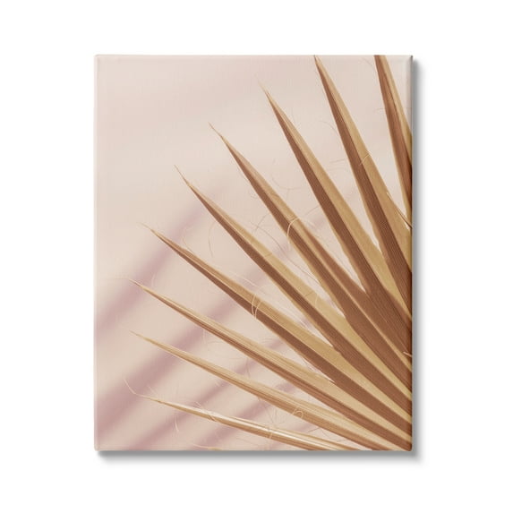 Stupell Industries Palm Frond Photograph Expressive Tropical Plant Sun Bleached, 24 x 30, Design by Ian Winstanley