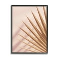 thumbnail image 1 of Stupell Industries Palm Frond Photograph Expressive Tropical Plant Sun Bleached, 24 x 30, Design by Ian Winstanley, 1 of 7