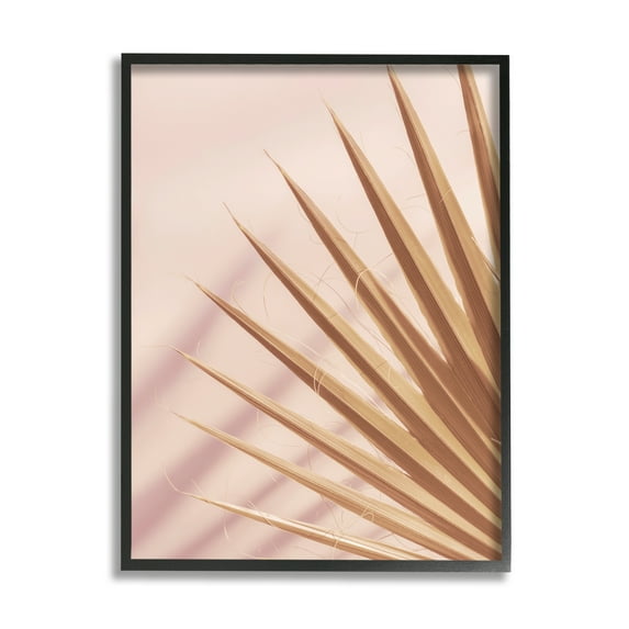 Stupell Industries Palm Frond Photograph Expressive Tropical Plant Sun Bleached, 24 x 30, Design by Ian Winstanley
