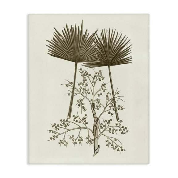 Stupell Industries Palm Leaf & Olive Branches Floral Painting Wrapped Canvas Canvas Art Print Wall Art, 16 x 20