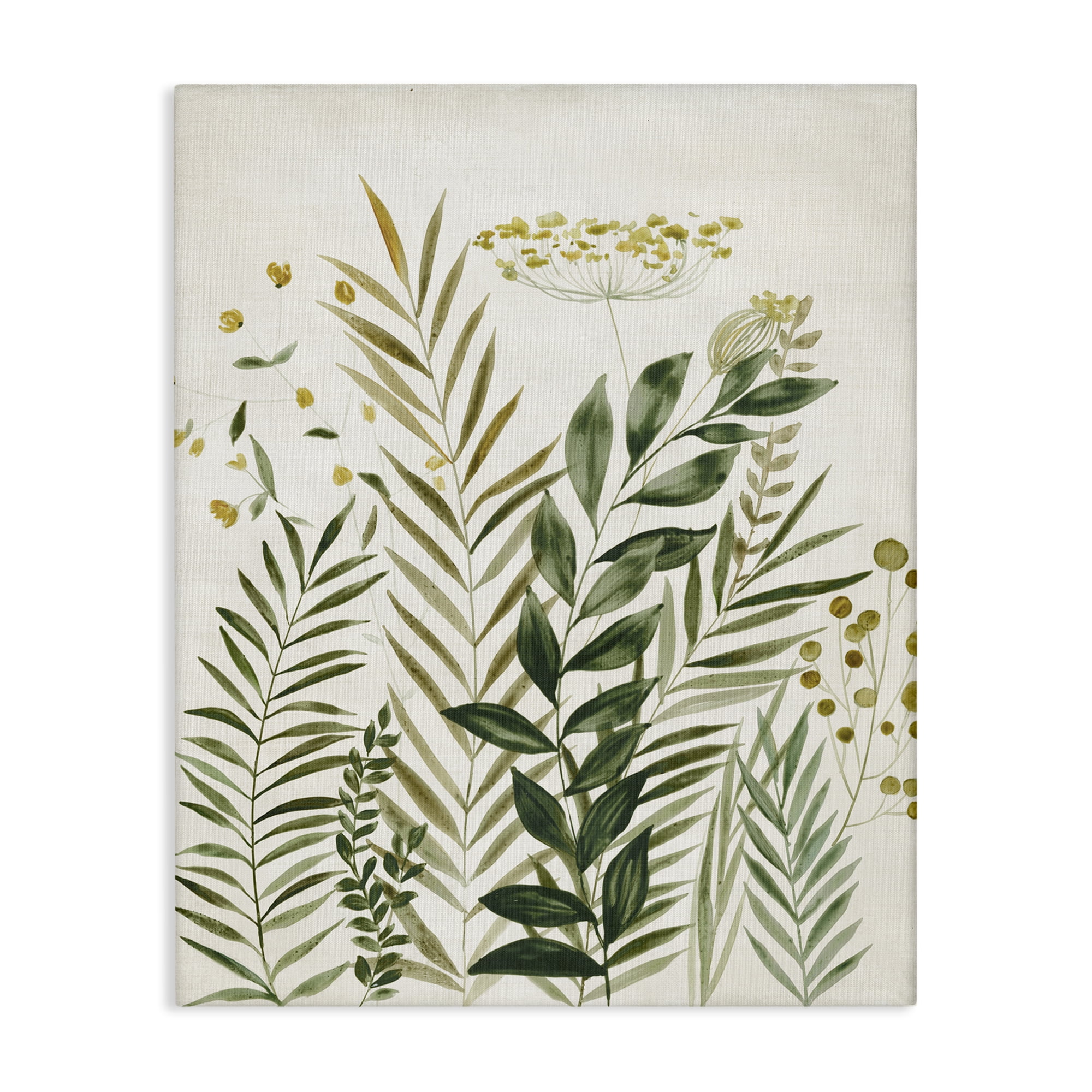 Stupell Industries Palm Leaves & Herbs Plants & Flowers Painting Wrapped Canvas Art Print Wall Art, 16 x 20