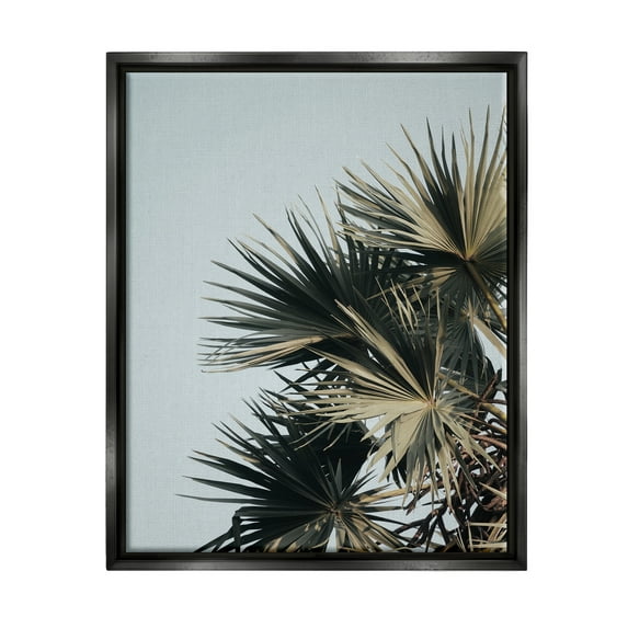 Stupell Industries Palm Plant Leaves Blue Sky Coastal Photography Black Floater Framed Art Print Wall Art