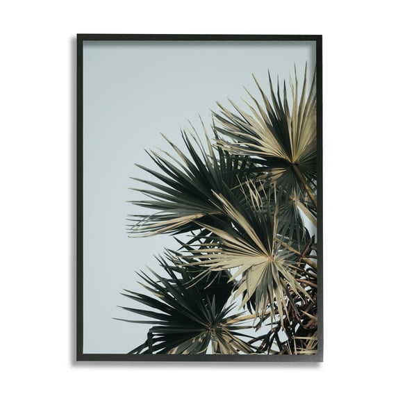 Stupell Industries Palm Plant Leaves Blue Sky Coastal Photography Black Framed Art Print Wall Art