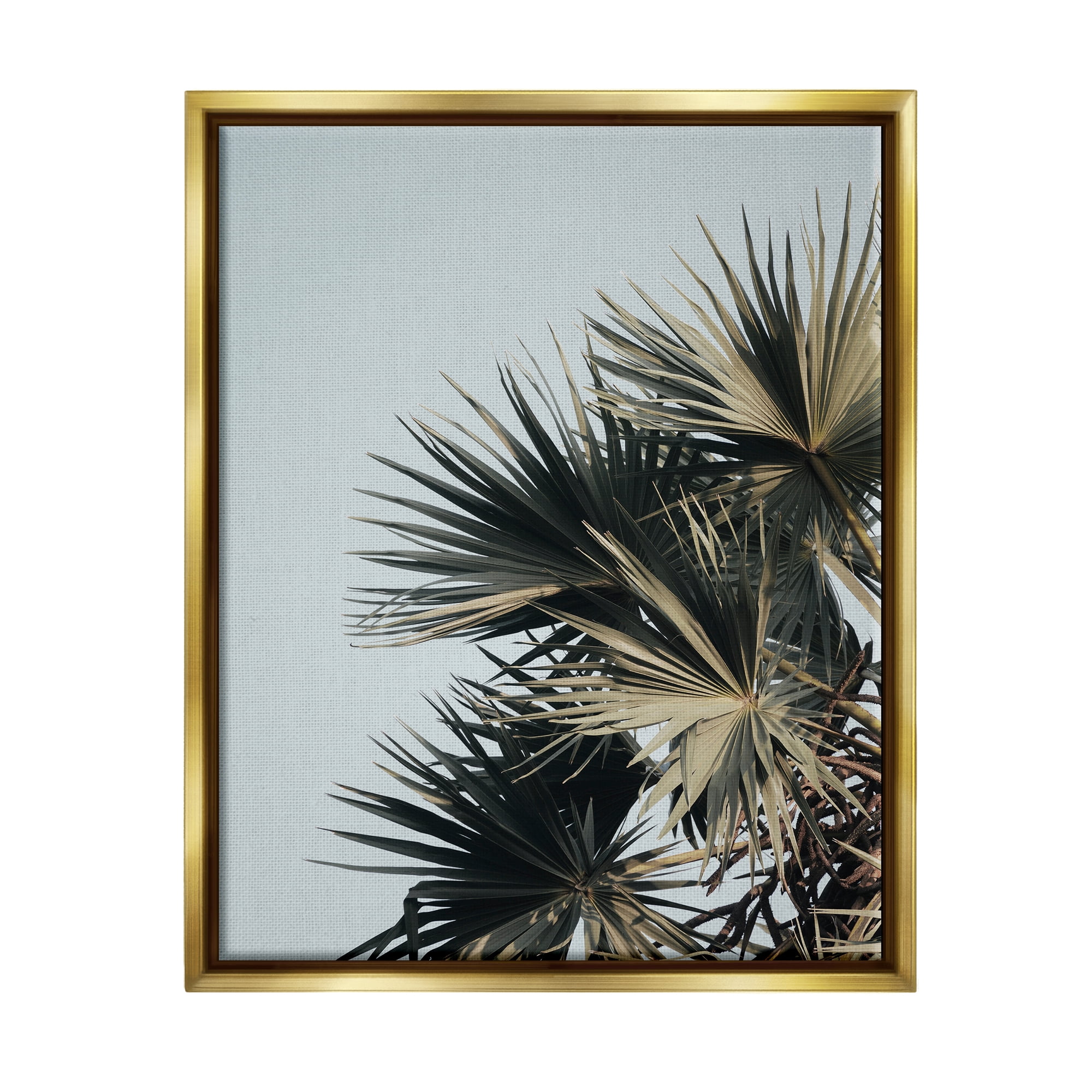 Stupell Industries Palm Plant Leaves Blue Sky Coastal Photography Gold Floater Framed Art Print Wall Art