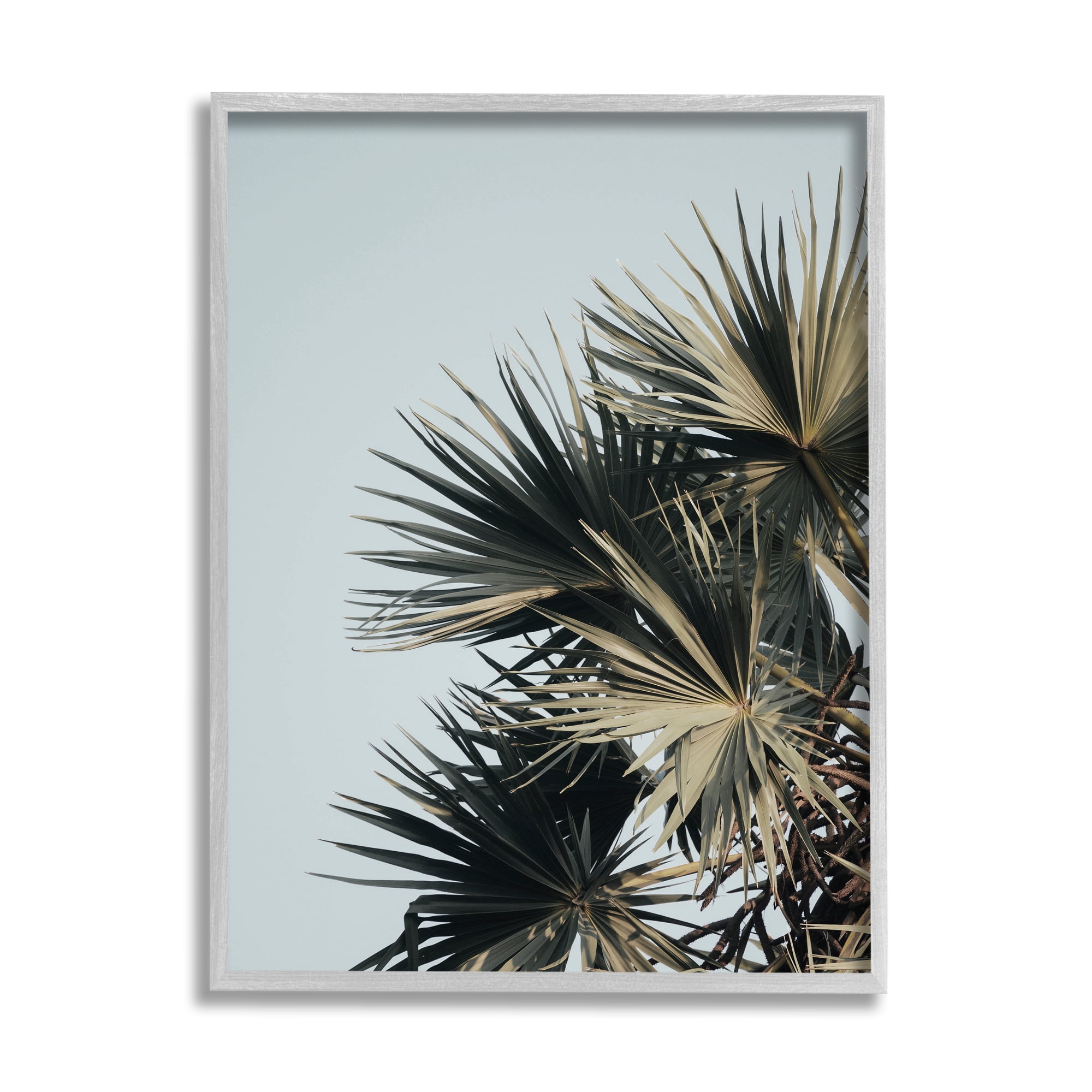 Stupell Industries Palm Plant Leaves Blue Sky Coastal Photography Gray Framed Art Print Wall Art