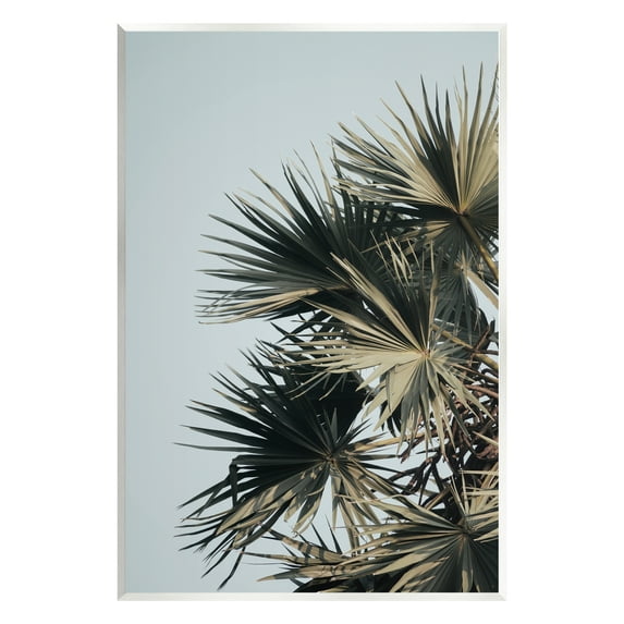 Stupell Industries Palm Plant Leaves Blue Sky Coastal Photography Unframed Art Print Wall Art