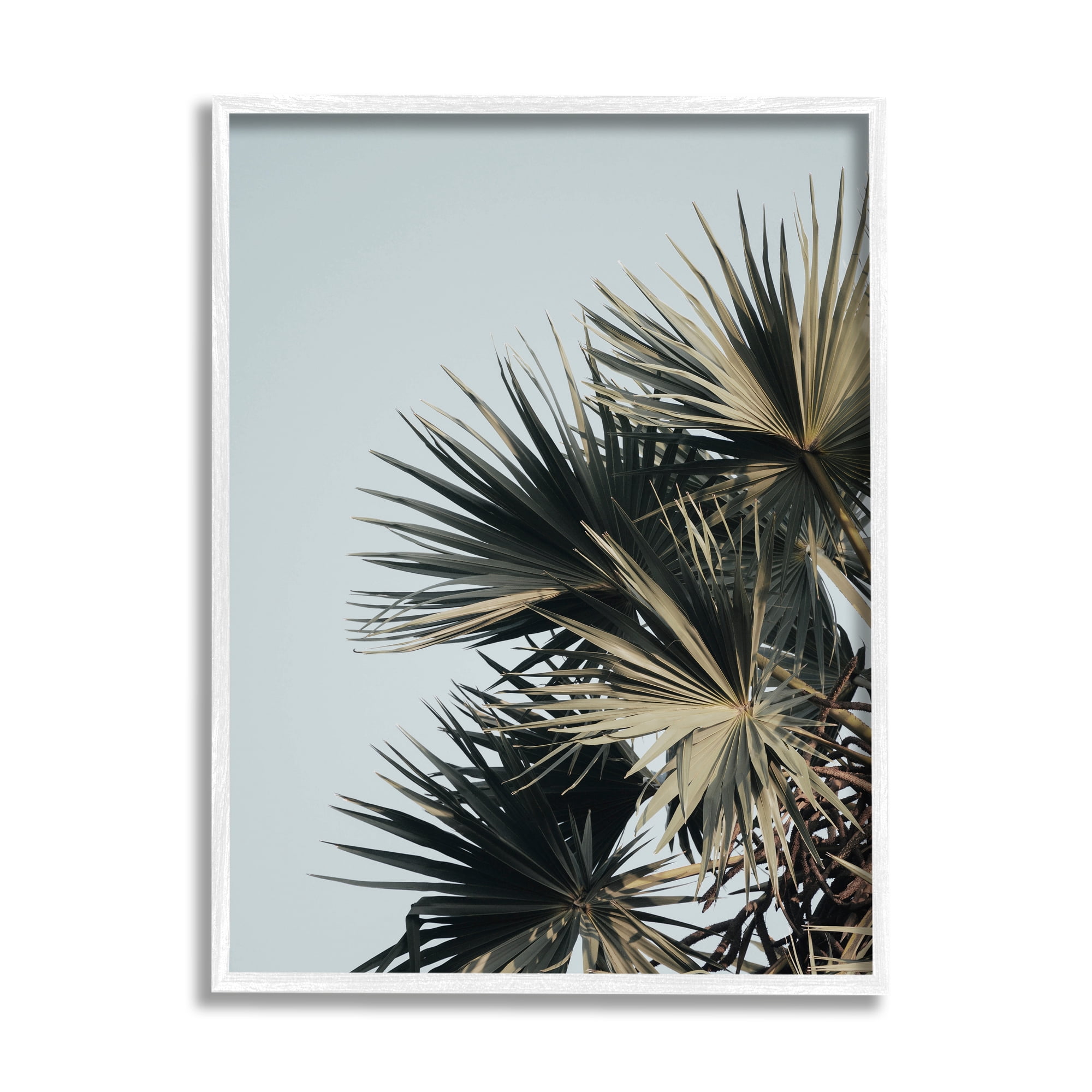 Stupell Industries Palm Plant Leaves Blue Sky Coastal Photography White Framed Art Print Wall Art