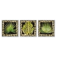 thumbnail image 1 of Stupell Industries Palm Plants on Leopard Pattern Botanical & Floral Painting Gray Framed Art Print Wall Art, 17 x 17, Set of 3, 1 of 10