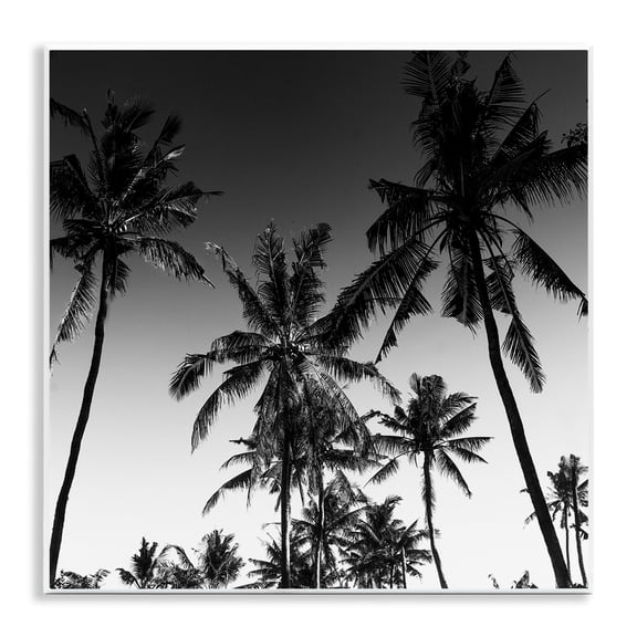 Stupell Industries Palm Sunset Stark Contrast Wall Plaque Art design by Danita Delimont, 12 x 12