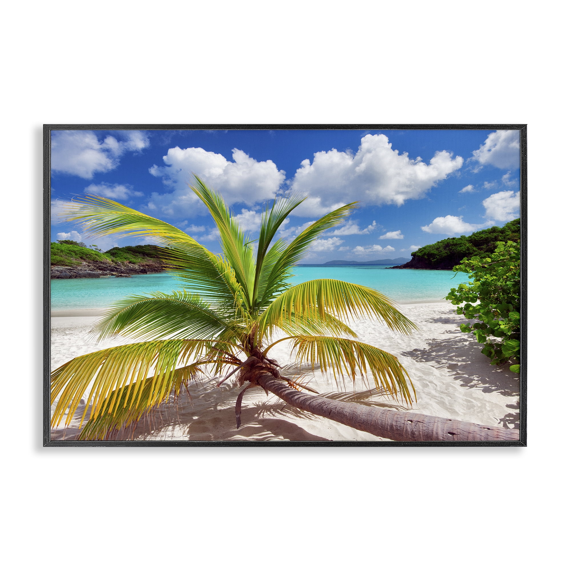 Stupell Industries Palm Tree Across Beach Coastal Photography Black Framed Art Print Wall Art, 24 x 16