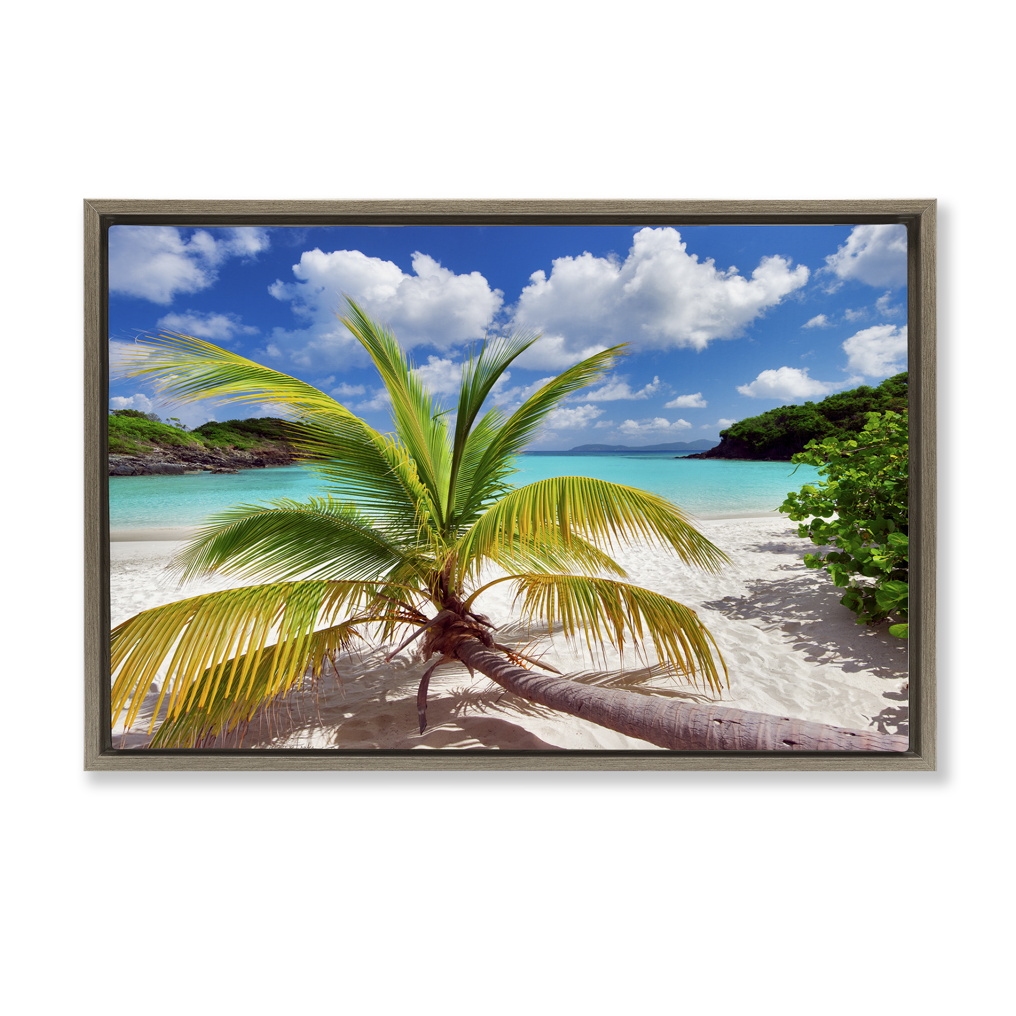 Stupell Industries Palm Tree Across Beach Coastal Photography Brown Floater Framed Canvas Art Print Wall Art, 31 x 21