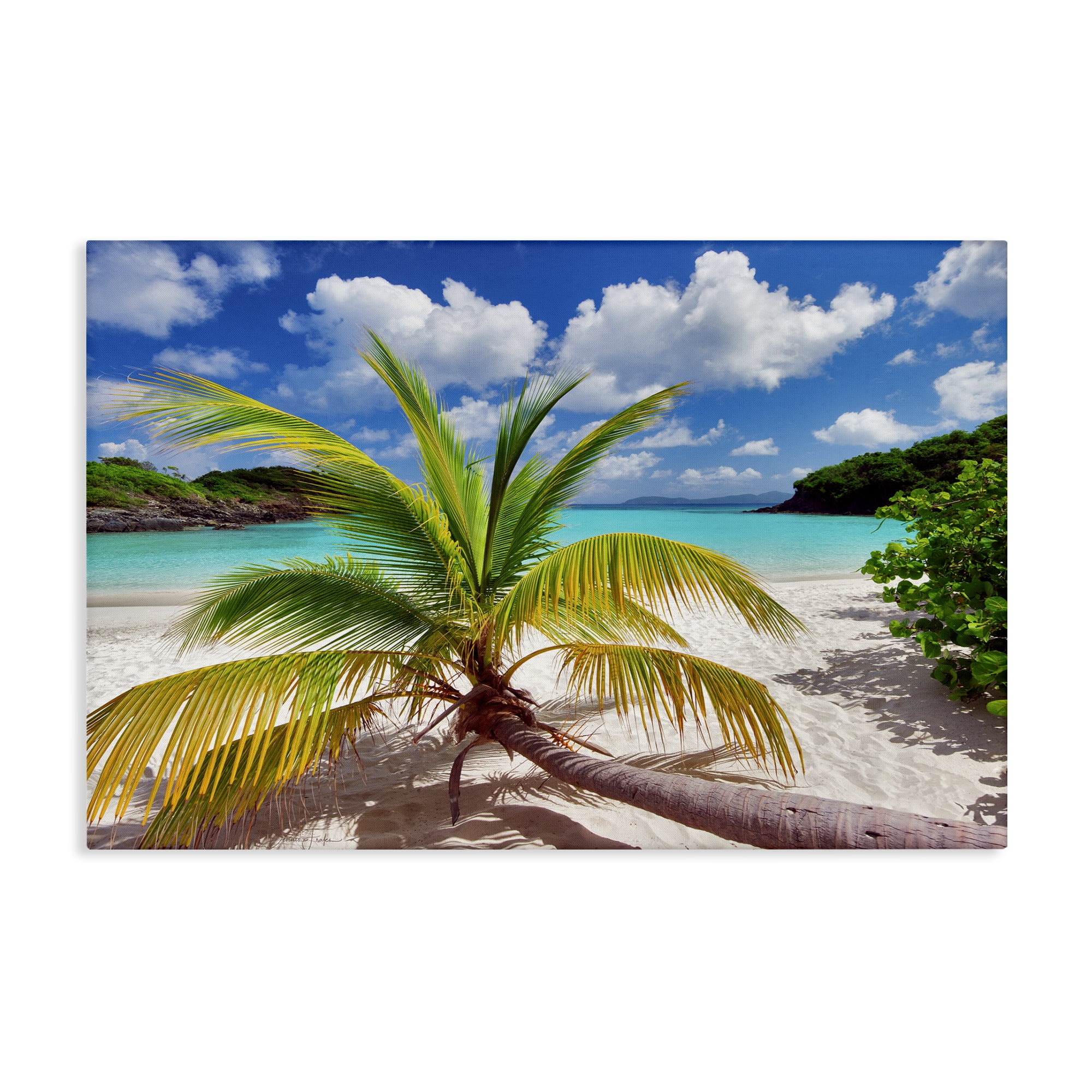 Stupell Industries Palm Tree Across Beach Coastal Photography Gallery Wrapped Canvas Art Print Wall Art, 24 x 16